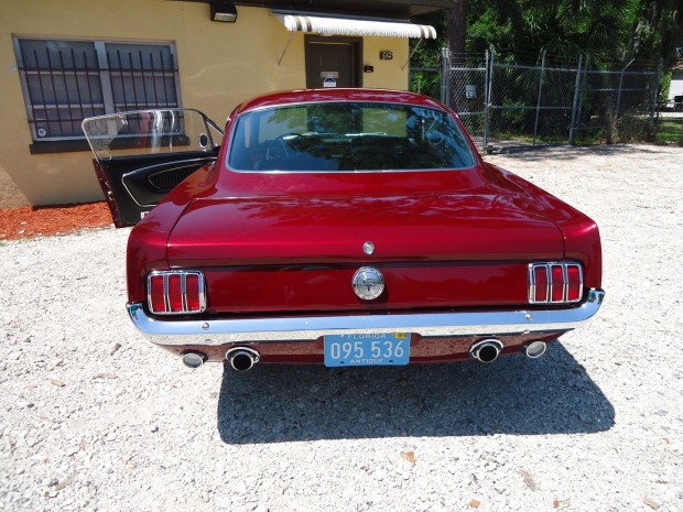 1966 Ford Mustang gt fastback-14345345
