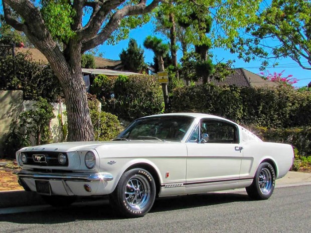 1966FordMustangGT-fgkhg13