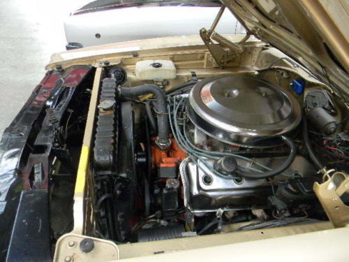 1969 Dodge Charger hemi 426RT-15654