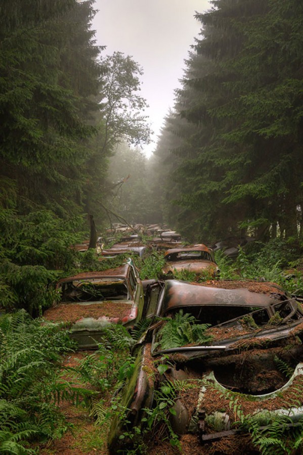 The Chatillon Car Graveyard-56