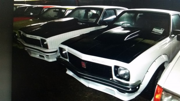 1977 Torana SLR 5000 & SS Hatch 5 litre-1