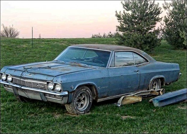 Care-For-Your-Impala-1