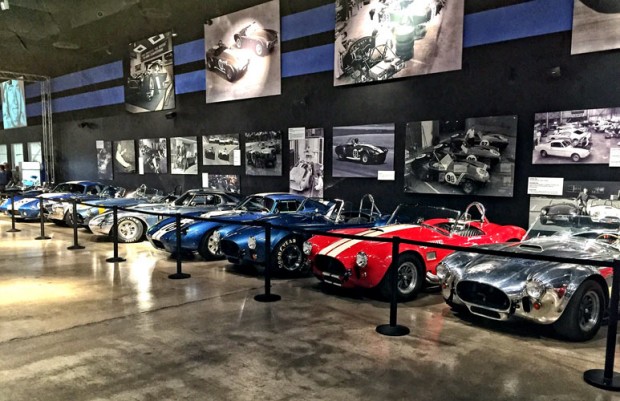 Las-Vegas-Free-Shelby-History-567y