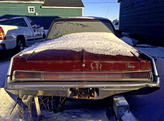 Muscle-Cars-In-Snow-5675677