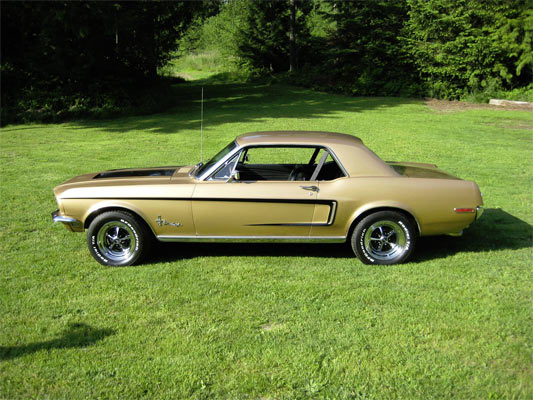 Mustang22
