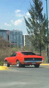1970-Mustang-Fastback-76867