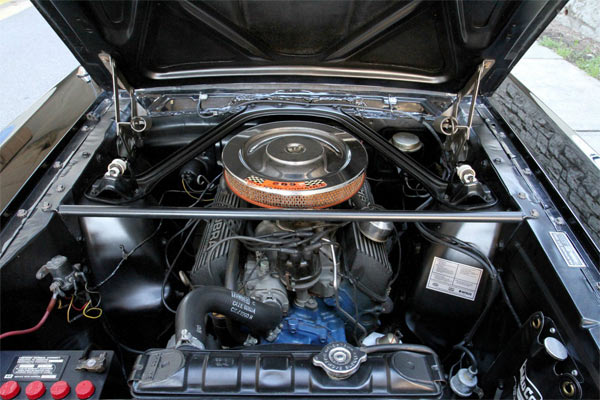 1966-Ford-Mustang-Shelby-GT350-Hertz-176575