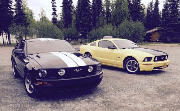 Team-Of-Ford-Mustangs-26454656