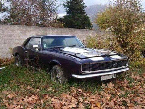 camaro-456