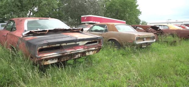 Barn-Find-Hunter-7687822