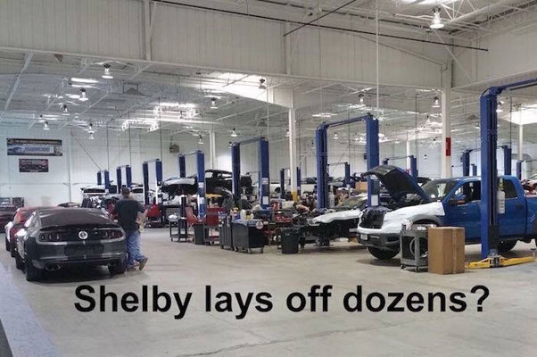 shelby-4676