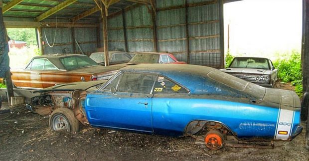 barnfinds-456456
