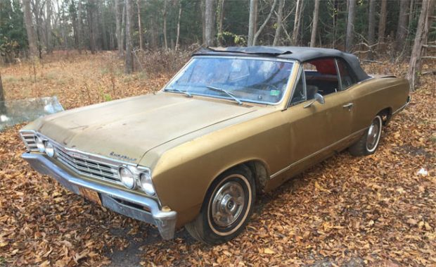 1967-chevrolet-chevelle-124435