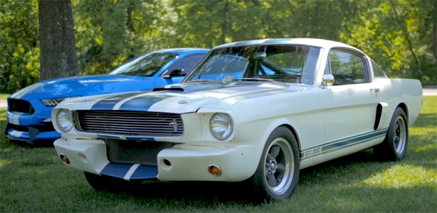 Shelby-GT350