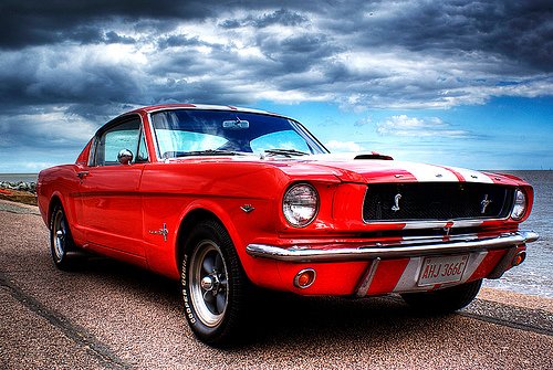 mustang