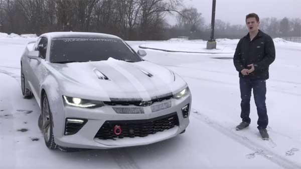 wintercamaro