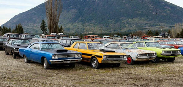 muscle car yard