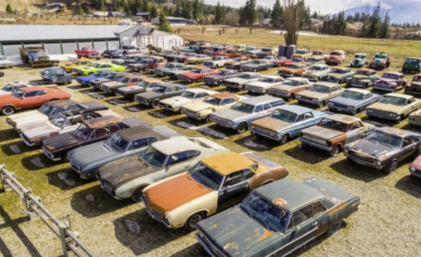 muscle car yard