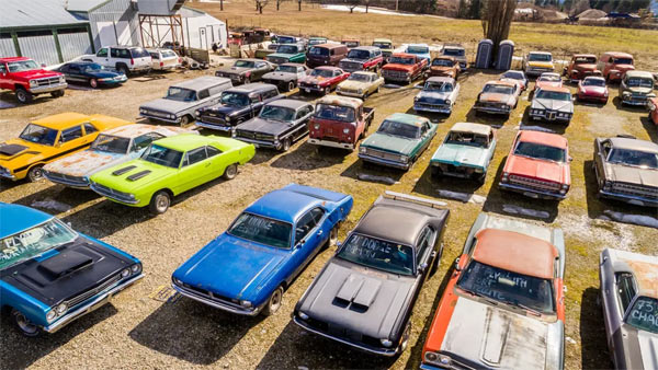 muscle car yard