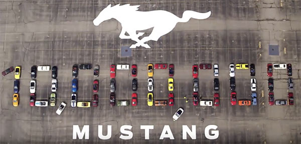 mustangs