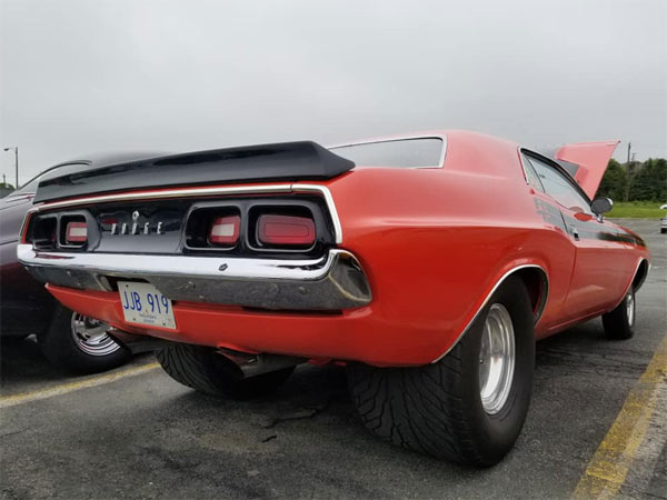 muscle car-1- image