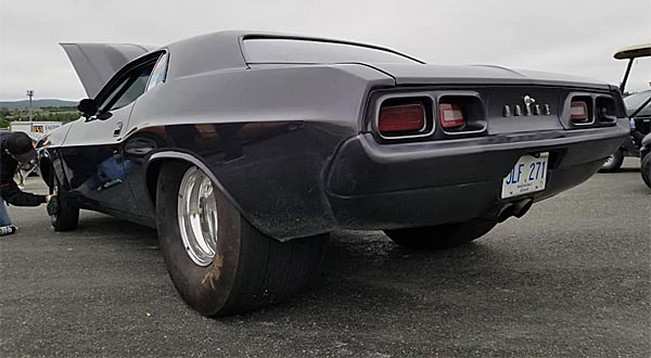 muscle car-2- image