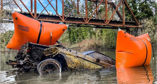 mustang recover image