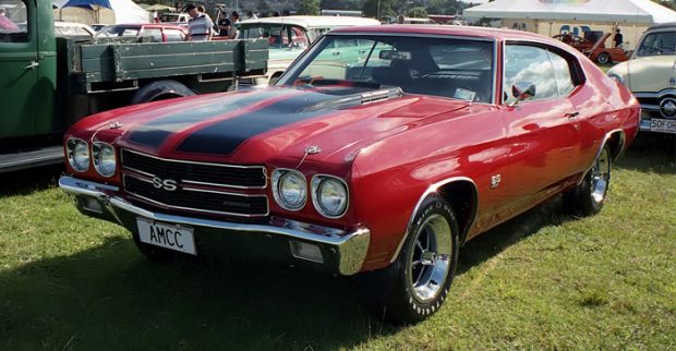 Muscular Muscle Car