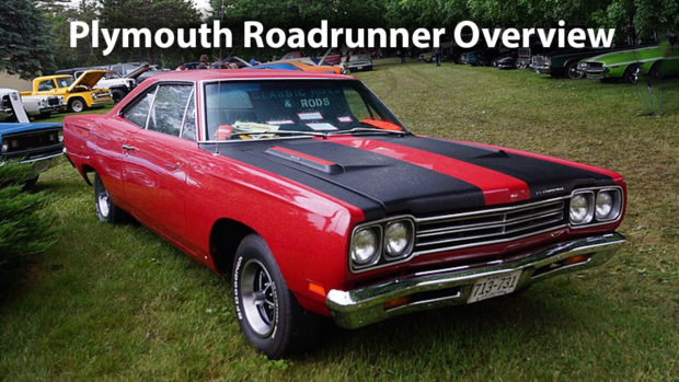 roadrunner