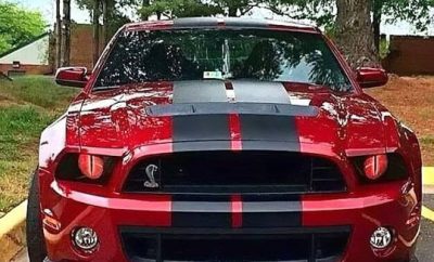 shelby-56765