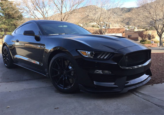 Find Of The Day: 2016 Ford Mustang Shelby GT350 - Muscle Car